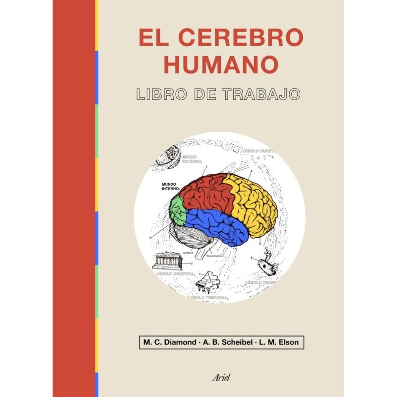 El cerebro humano Libro de trabajo