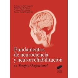 Fundamentos de neurociencia y neurorrehabilitación en Terapia Ocupacional