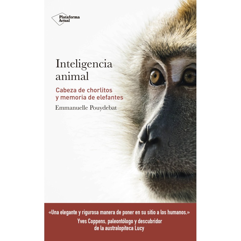 Inteligencia animal