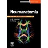 Neuroanatomía