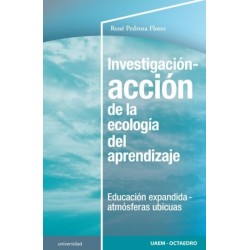 Investigación-acción de la ecología del aprendizaje